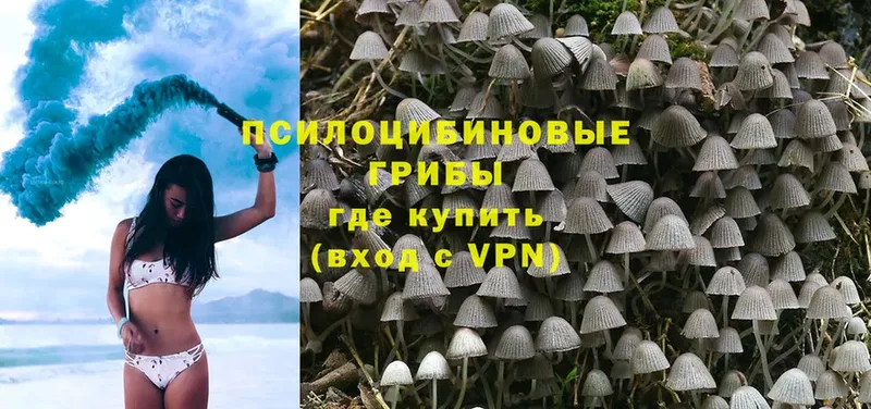 Псилоцибиновые грибы MAGIC MUSHROOMS  Кимовск 