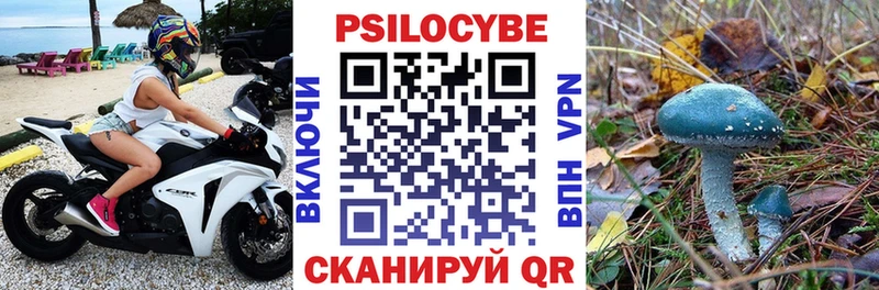 Псилоцибиновые грибы Psilocybine cubensis Кимовск