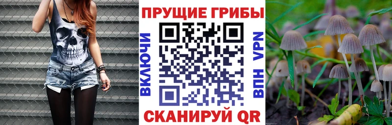 Галлюциногенные грибы MAGIC MUSHROOMS Кимовск