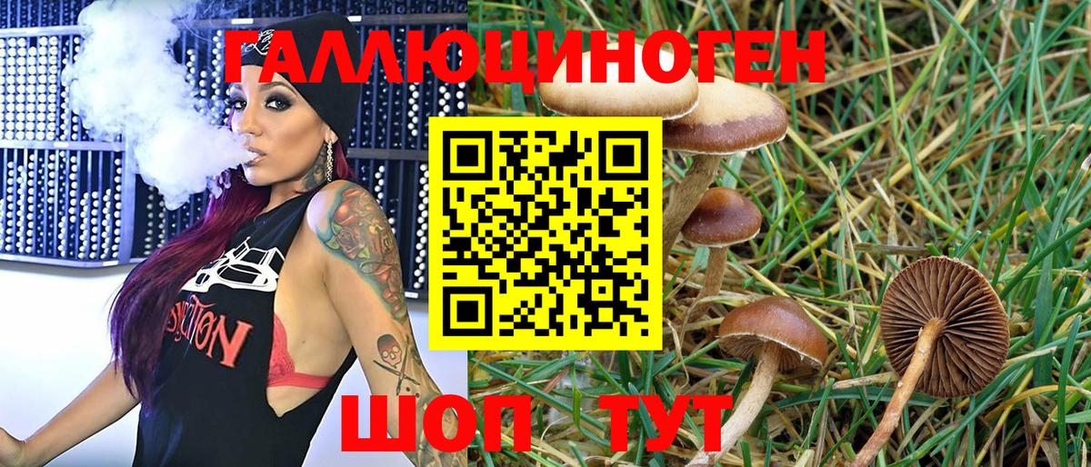 Кимовск  как найти наркотики  Вход с VPN  Галлюциногенные грибы Psilocybine cubensis 